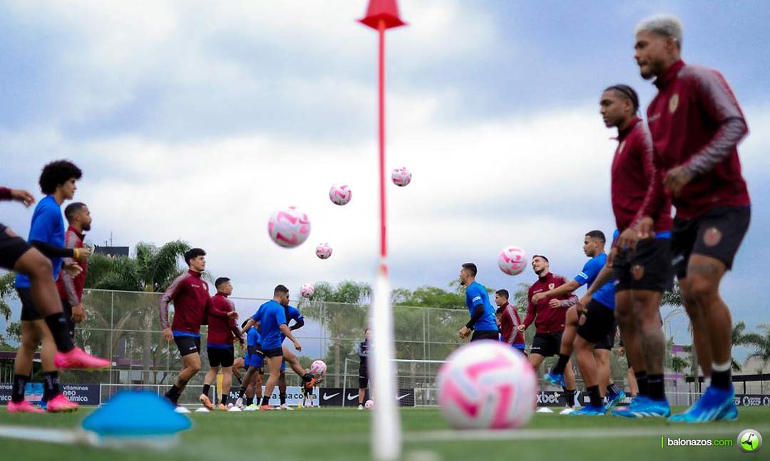 La Selección Vinotinto