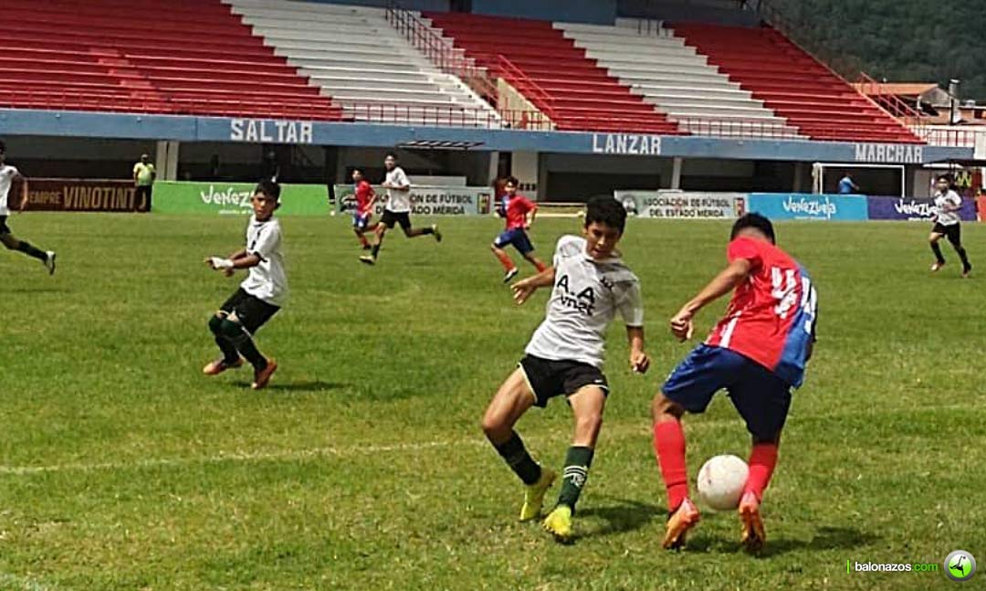 Segunda Fase del Festival