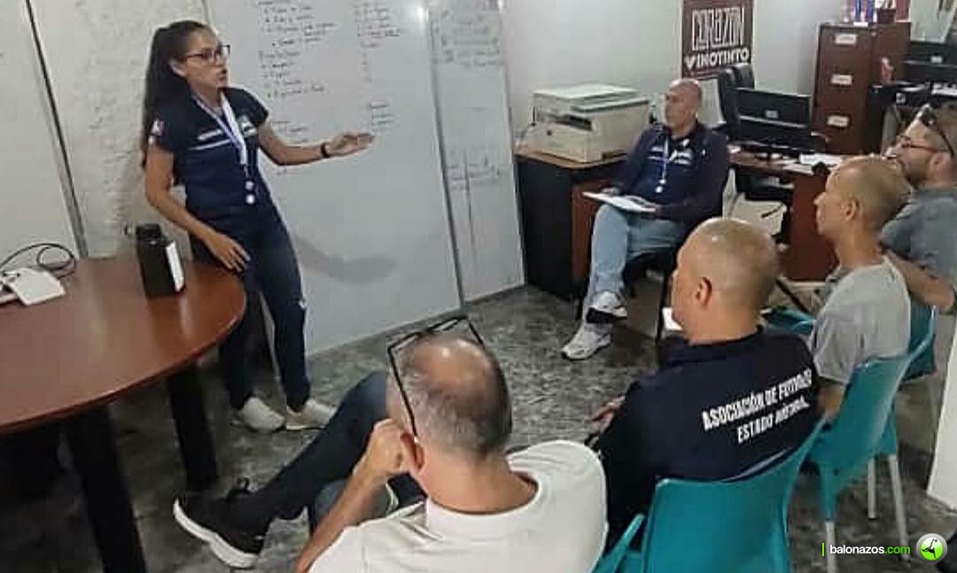 Asociación de Fútbol del estado Mérida