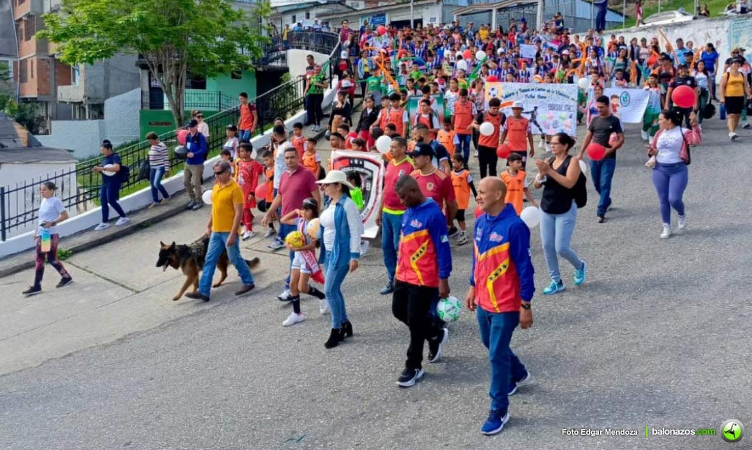 Liga de Desarrollo de Fútbol Menor Panamericana
