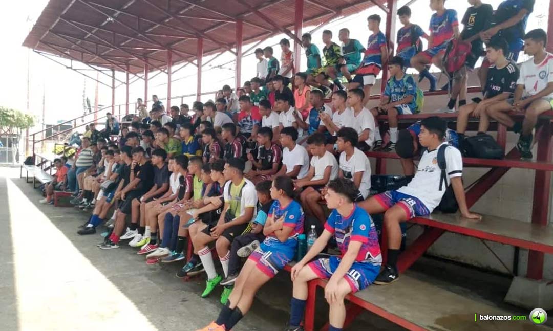 Asociación de Fútbol del estado Mérida