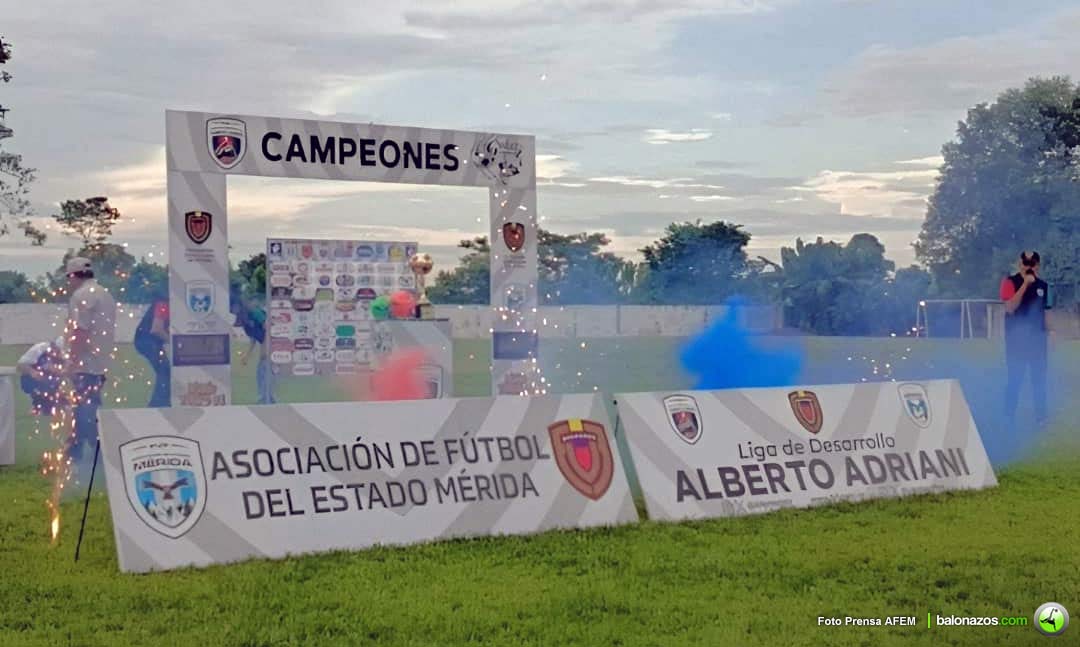 Liga de Fútbol de Desarrollo