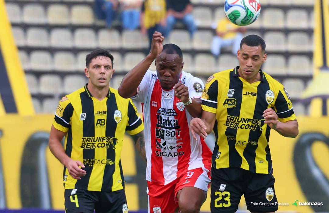 Liga FUTVE