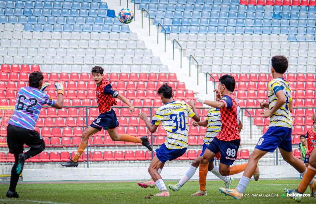 Liga Élite Juvenil