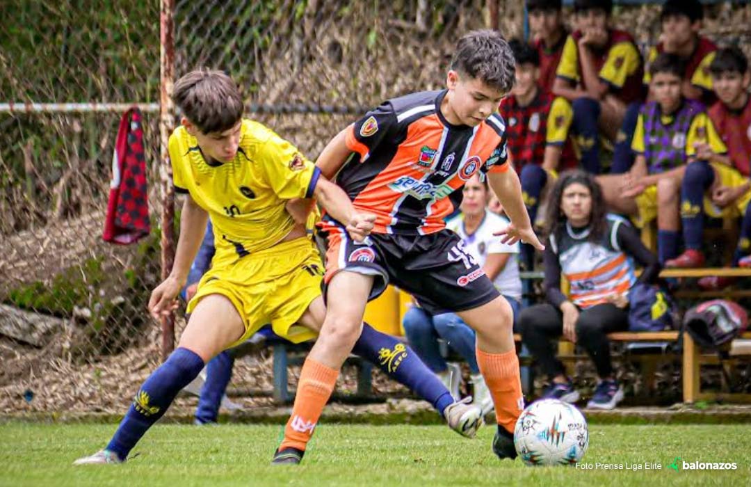 Liga Élite Juvenil