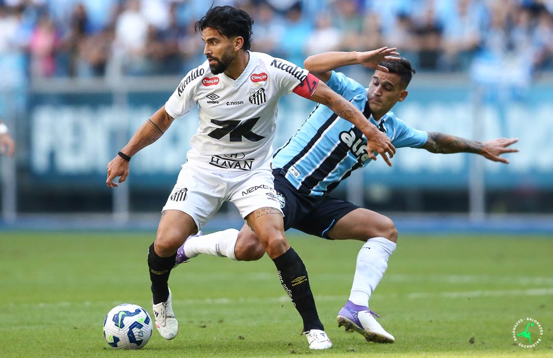 Tomás Rincón